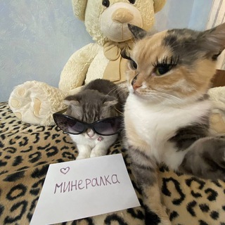 Telegram profile photo for минералка инкогнито