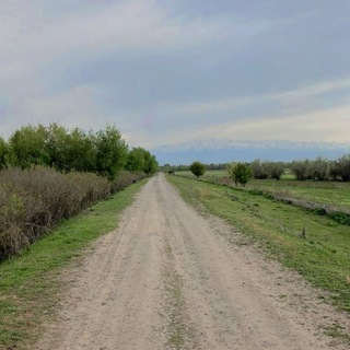 Telegram profile photo for Крива дорога в Дублин