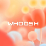 Telegram profile photo for NotWhoosh?!