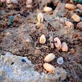 Telegram profile photo for کانال آشناترین غریبه
