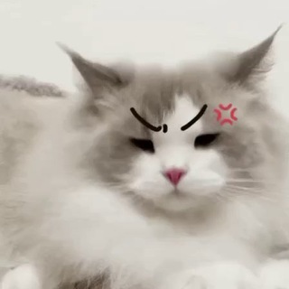 Telegram profile photo for 男神嘿嘿- iOS频道