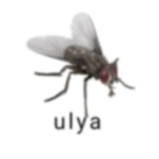 Telegram profile photo for Добрый блин Ульяна