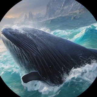 Telegram profile photo for Big whales calls