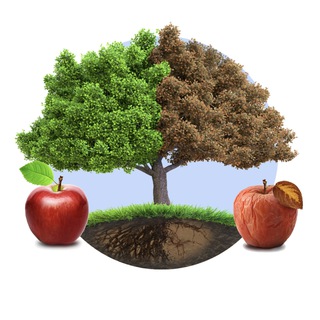 Telegram profile photo for Dr. Zarin Azar