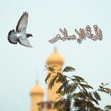 Telegram profile photo for لذّةُ الإسلام🍀☘️