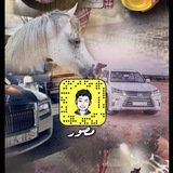 Telegram profile photo for YASSER