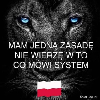 Telegram profile photo for Szósty Rok Ery Wodnika - ujawnienie Prawdy