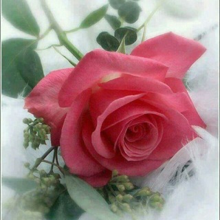 Telegram profile photo for ❀عالم المرأة❀