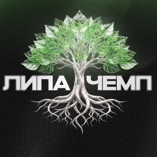 Telegram profile photo for ЛИПА ЧЕМП - 16 МАЯ 2027