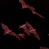 Telegram profile photo for ⲣⲩⳝυⲏⲟⲃыύ цⲃⲉⲧⲟⲕ