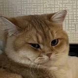 Telegram profile photo for Кабинет психолога