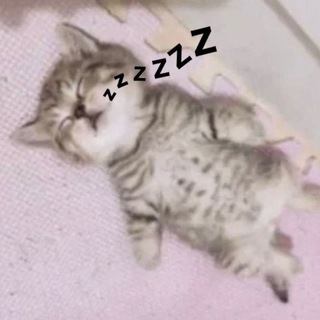 Telegram profile photo for —וПерсонажи Коёри|×