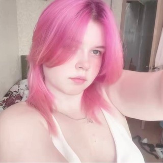 Telegram profile photo for шино от машины 🐶