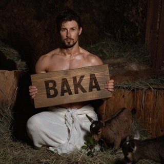 Telegram profile photo for выдача baka