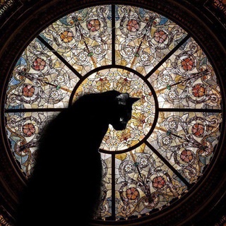 Telegram profile photo for Ladyinblack 🐈⬛️