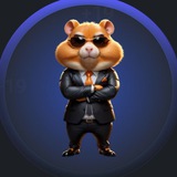Telegram profile photo for Hamster Daily combo/cipher