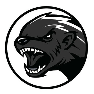 Telegram profile photo for Zver.App - Аренда приложений