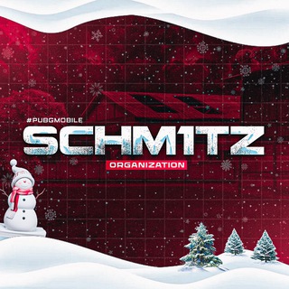 Telegram profile photo for SCHM1TZ ORGANIZATION🇷🇺