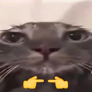 Telegram profile photo for Будни чурчхелы