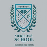 Telegram profile photo for 𝐌erlions 𝐒chool
