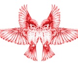 Telegram profile photo for Красный воробей