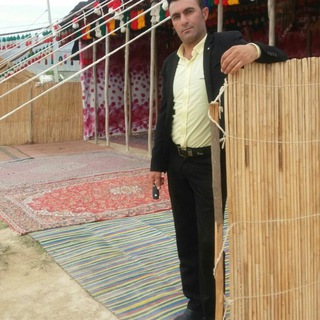 Telegram profile photo for نظام پالیزدان
