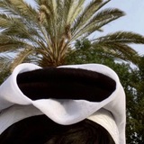 Telegram profile photo for ـبُ