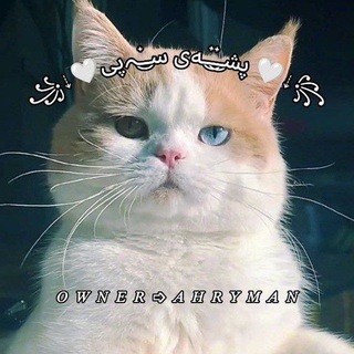 Telegram profile photo for ꧁⇣🤍پشـ๋͜ـ๋͜ــەی سـ๋͜ـﮧپی🤍⇣꧂