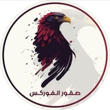 Telegram profile photo for فريق صقور الفوركس الرسمية
