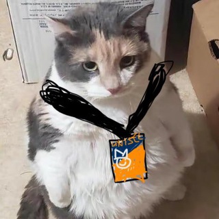 Telegram profile photo for kucing unisel