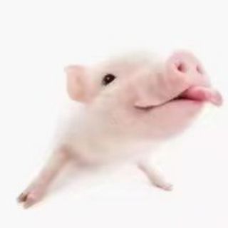 Telegram profile photo for GeelY交易记录