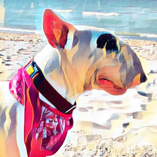 Telegram profile photo for mat_and_butch