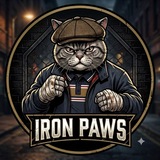Telegram profile photo for IronPawsMMA