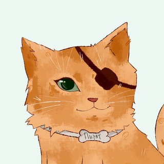 Telegram profile photo for Кот Пират