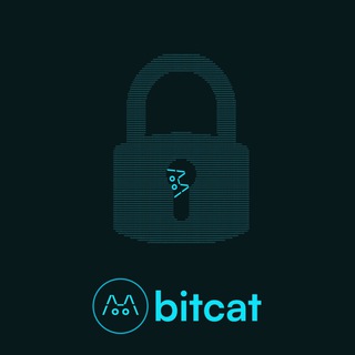 Telegram profile photo for $BTCAT portal