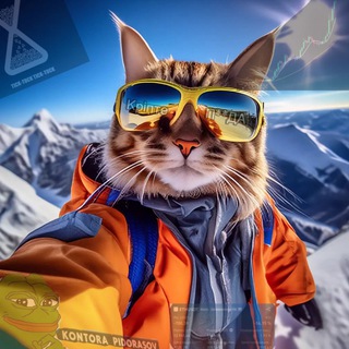 Telegram profile photo for Crypto Homa