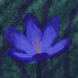 Telegram profile photo for Заброшенный особняк