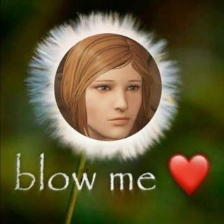 Telegram profile photo for Maudlin street