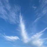 Telegram profile photo for Heilkreis Gadebusch inspiriert durch Kollektives Bewusstsein