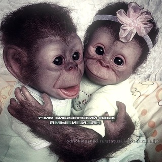 Telegram profile photo for учим язык бибизян🐒