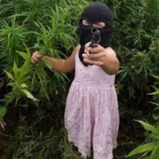 Telegram profile photo for Троллинг гч