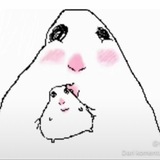 Telegram profile photo for ohmun