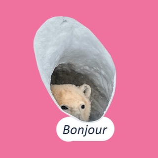 Telegram profile photo for Бонжур, это Николь Рой