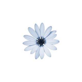 Telegram profile photo for إلى كلّ مُبتلى☁️🌱.