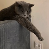 Telegram profile photo for Туда-сюда