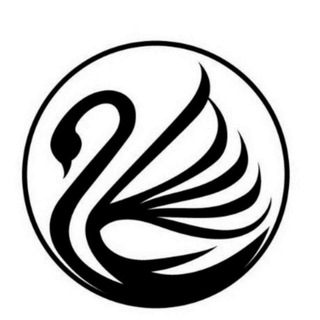 Telegram group profile photo for STRATEGI OLYMTRADE
