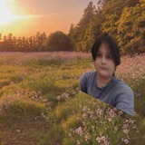 Telegram profile photo for @ rainy forest ! | сеть каналов по всем фандомам