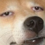 Telegram profile photo for ummm