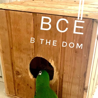 Telegram profile photo for THE DOM
