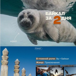 Telegram group profile photo for СОЛНЕЧНЫЙ БАЙКАЛ
